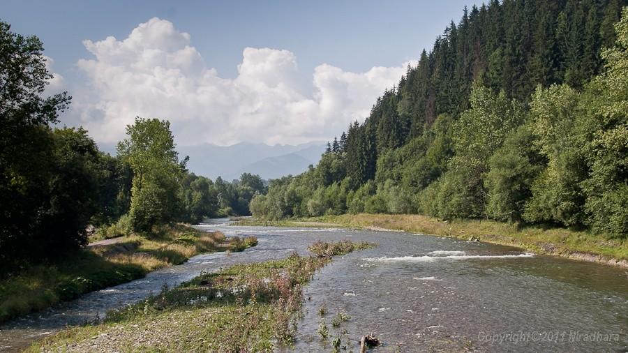 Biały Dunajec