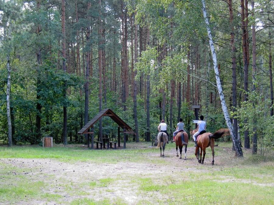 Dziekanów Leśny