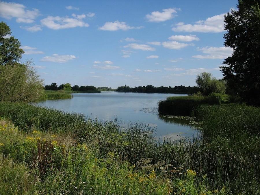 Jezioro Dziekanowskie