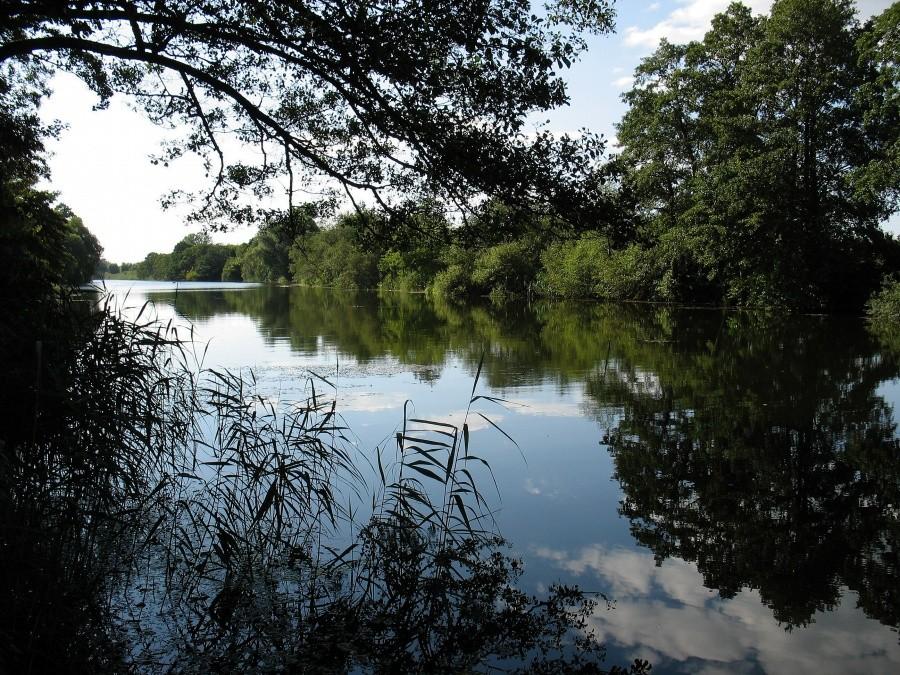 Rezerwat przyrody - Jezioro Kiełpińskie