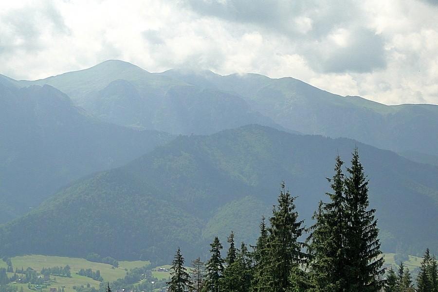 Widoczek
