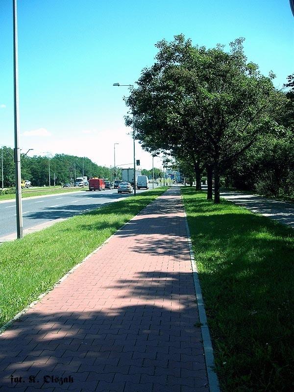 DDR na Starzyńskiego (1)