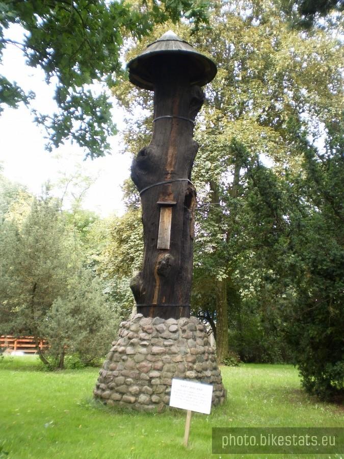Skansen pszczelarski