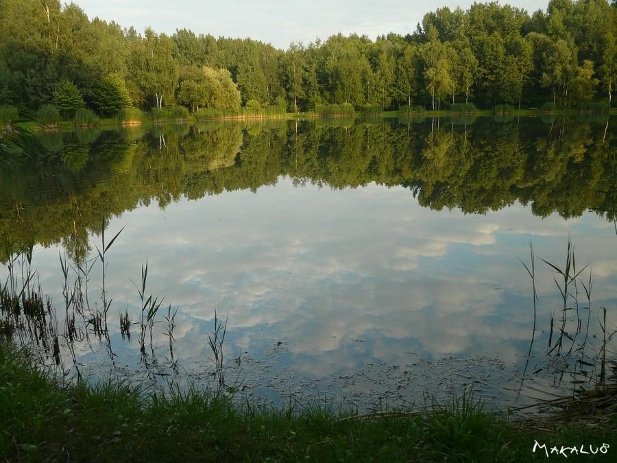Cisza w Dolinie Górnika