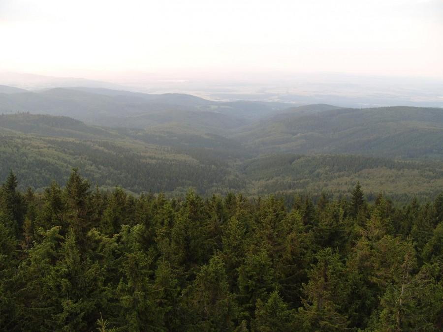 Widok na jezioro Odmuchowskie