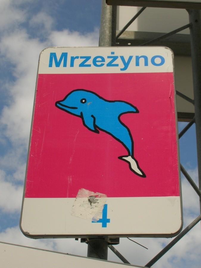 delfinek