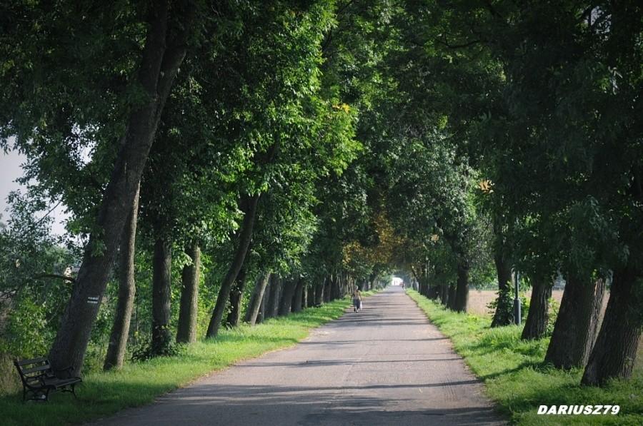 Wozniki ulica Tranogórska