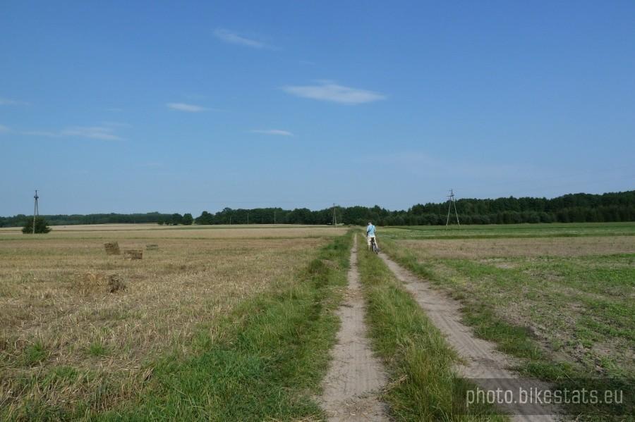 Wnet wyjechaliśmy gdzieś w pole