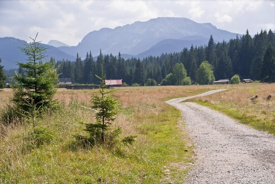 przed nami Kominiarski Wierch