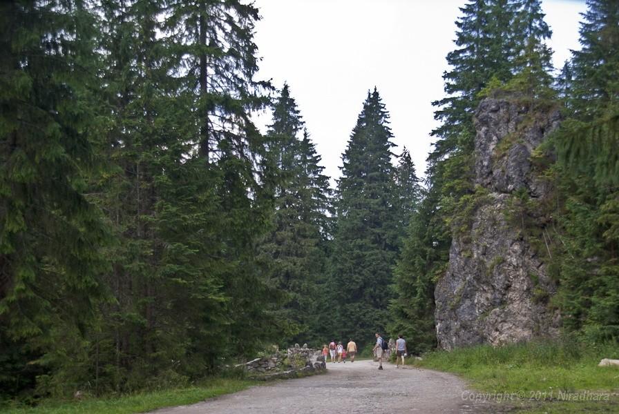 i znów skałki