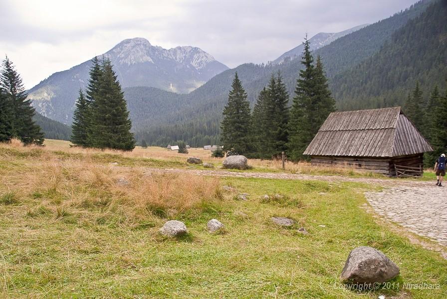 Polana Chochołowska