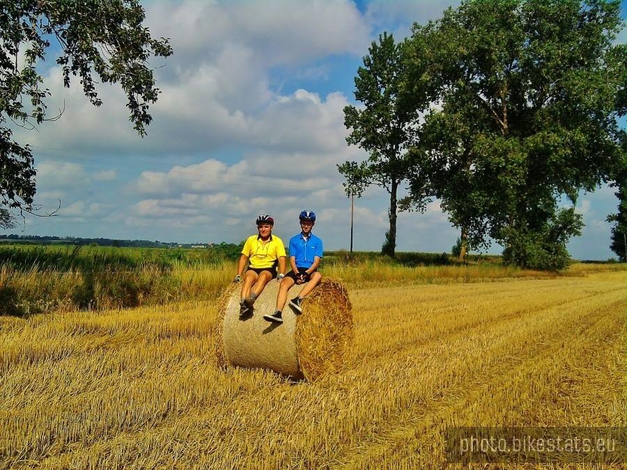 Żniwa idą całą parą.