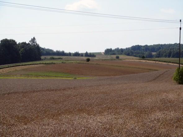 Widok na pola