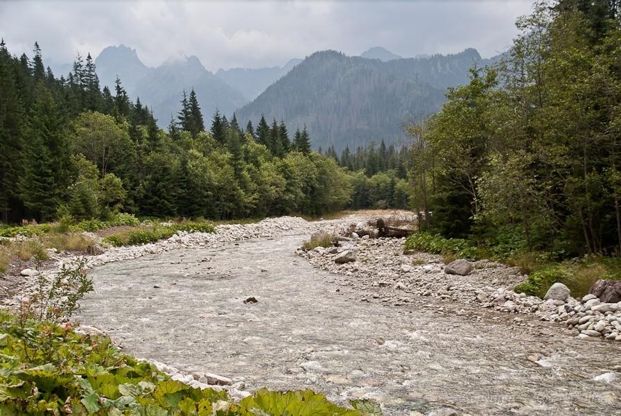 widok coraz rozleglejszy