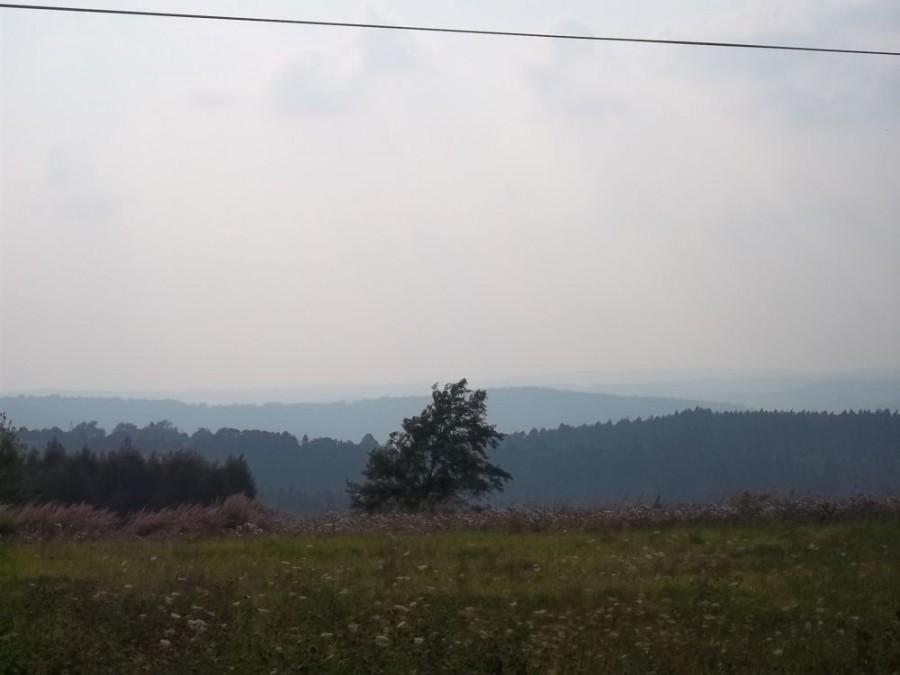 pogórze strzyżowskie