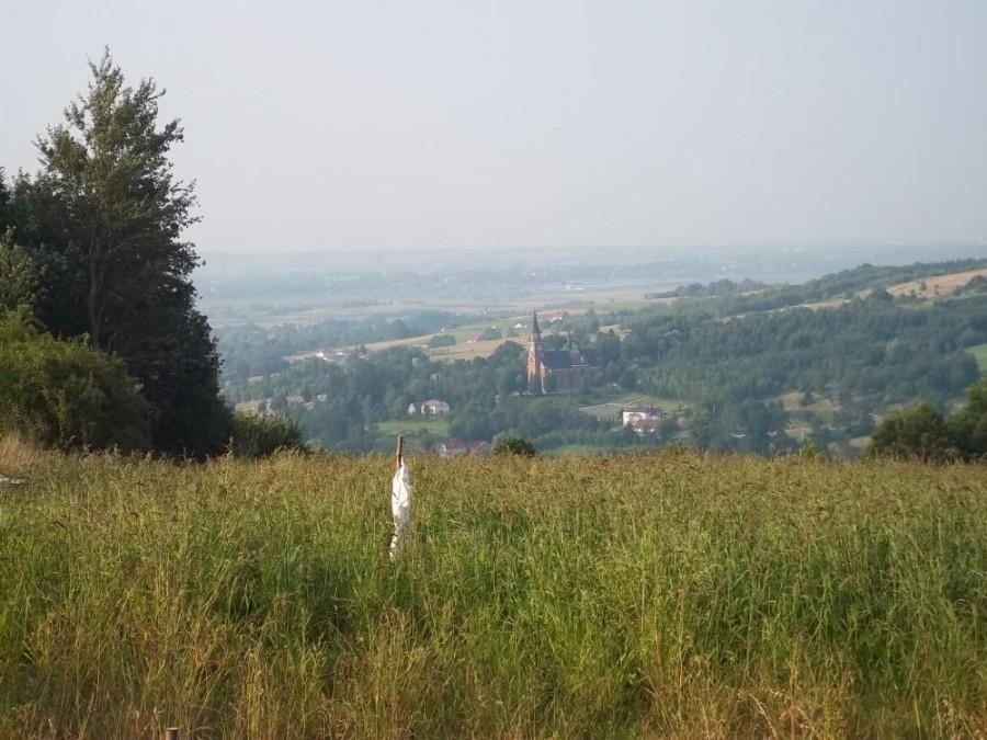 Kościół w Lubeni