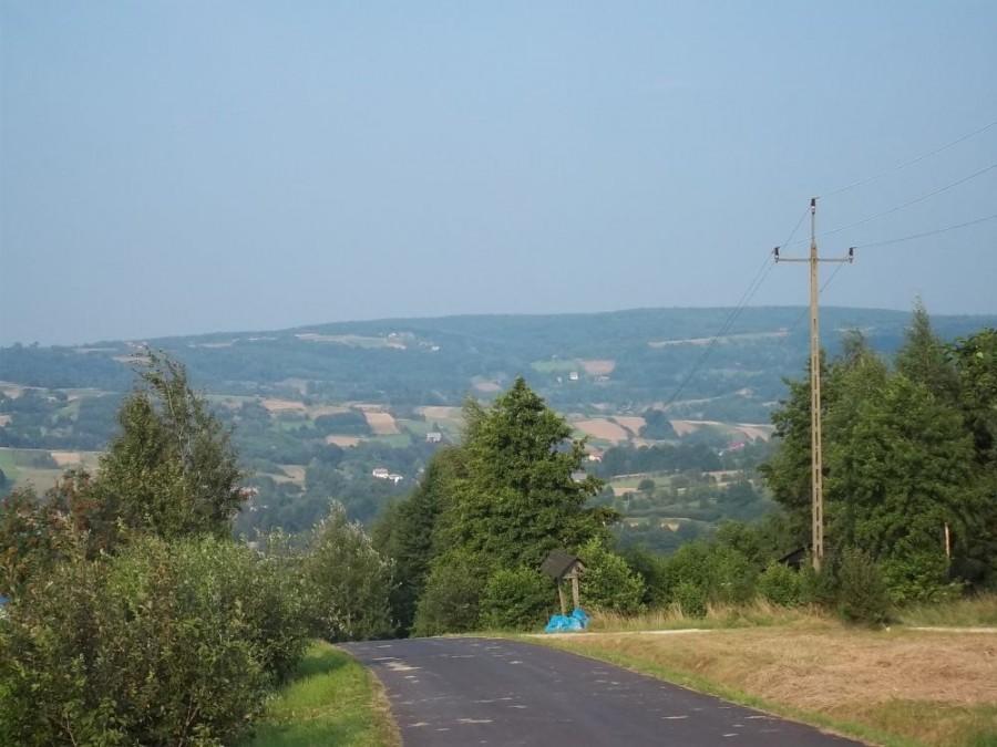 zajzdowo