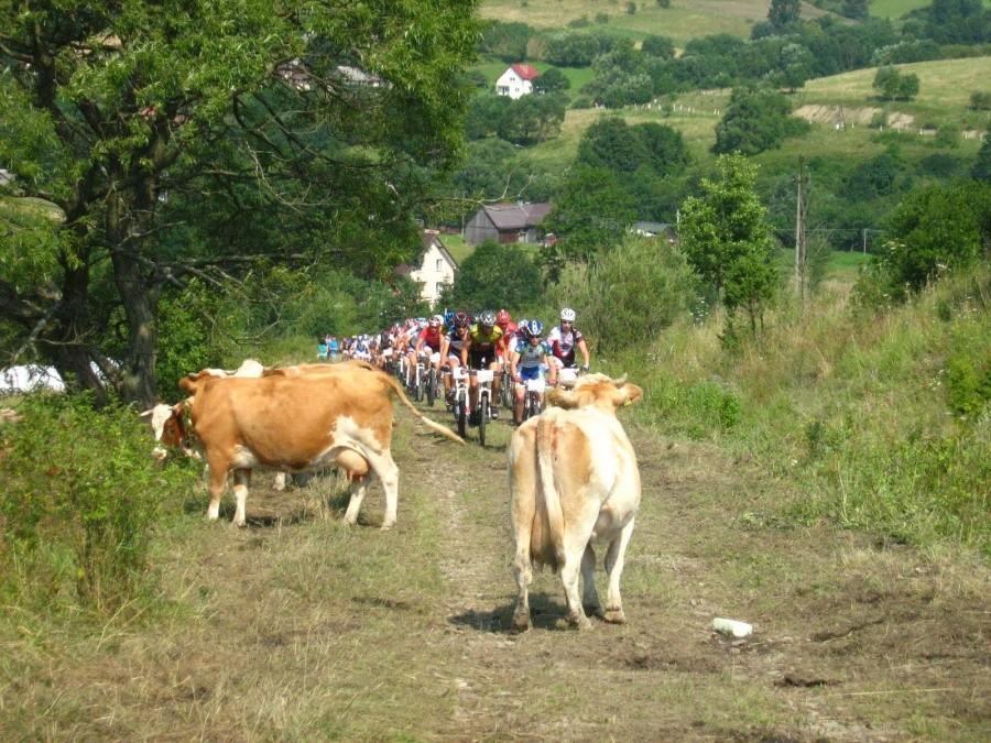 Takie tam, na trasie :D