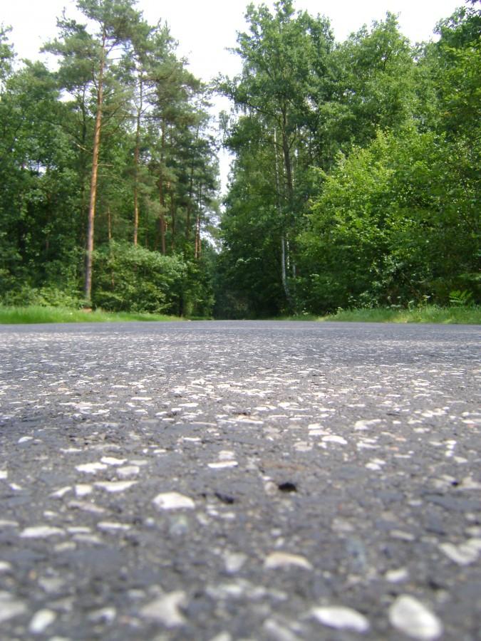 Na drodze do Spały