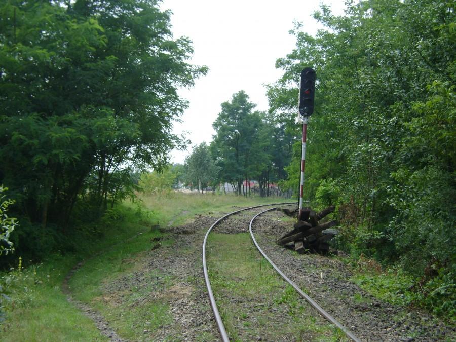 Linia 53 Tomaszów Maz-Spała po uprzątnięciu