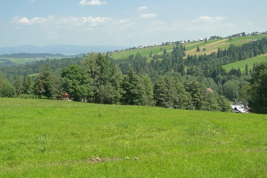 Podhale