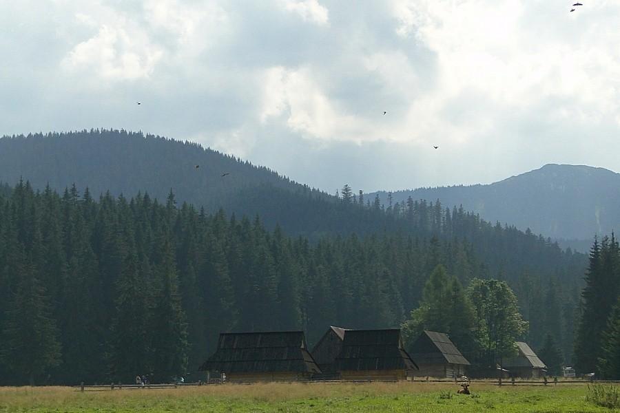 Wjeżdżamy do Doliny Chochołowskiej