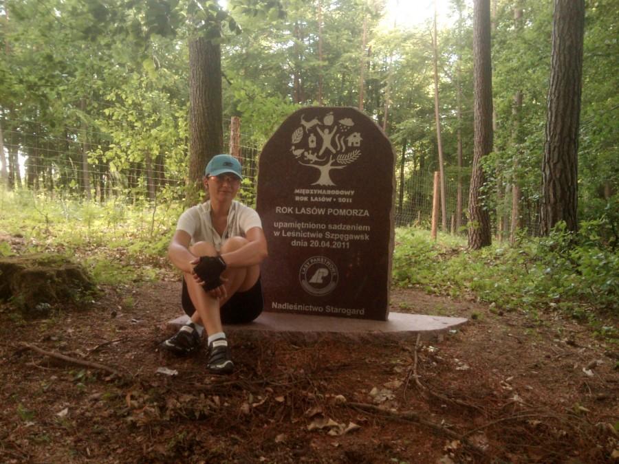 tablica pamiątkowa w środku lasu