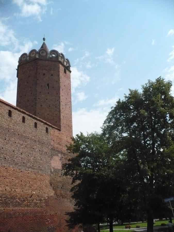 Zamek w Łęczycy