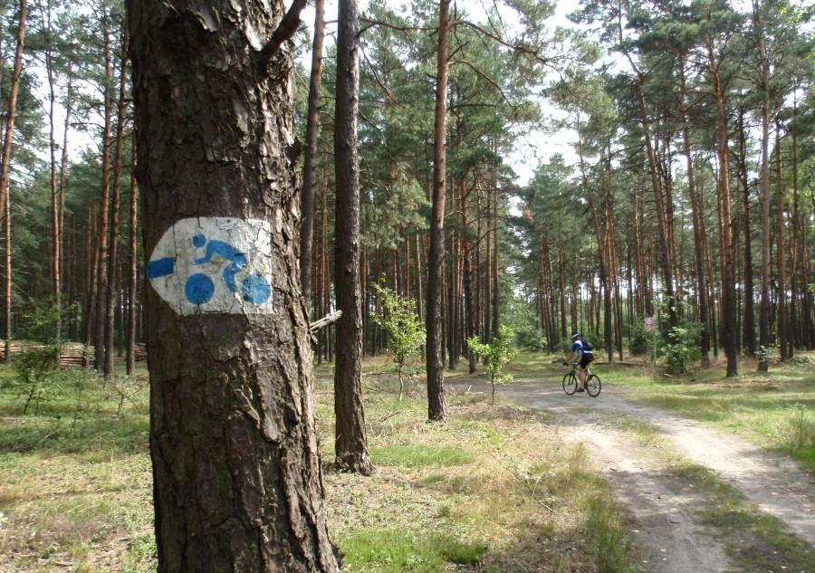 Dębowcówka (niebieski rowerowy)