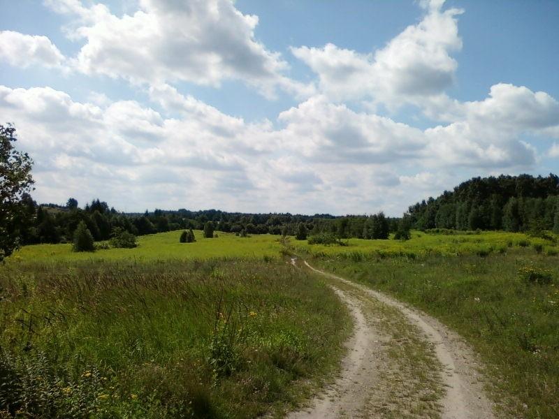 Dróżka w okolicy Klęku