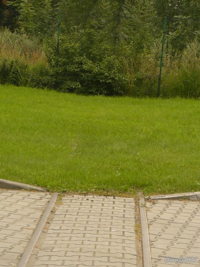 Kolej do nikąd...