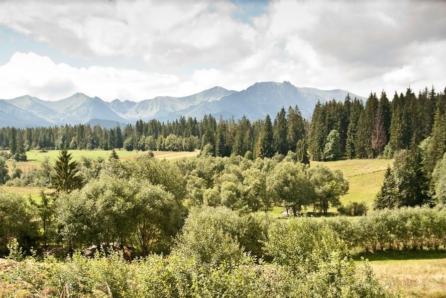 przed nami Tatry
