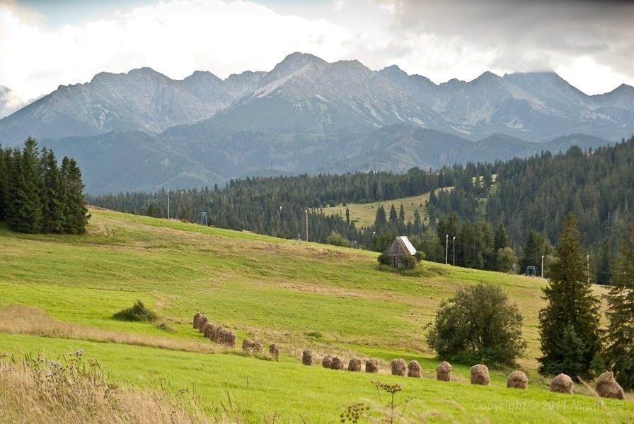 widok z Bukowiny Tatrzańskiej