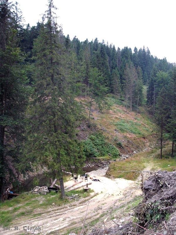 W drodze na przełęcz Salmopolska (1)