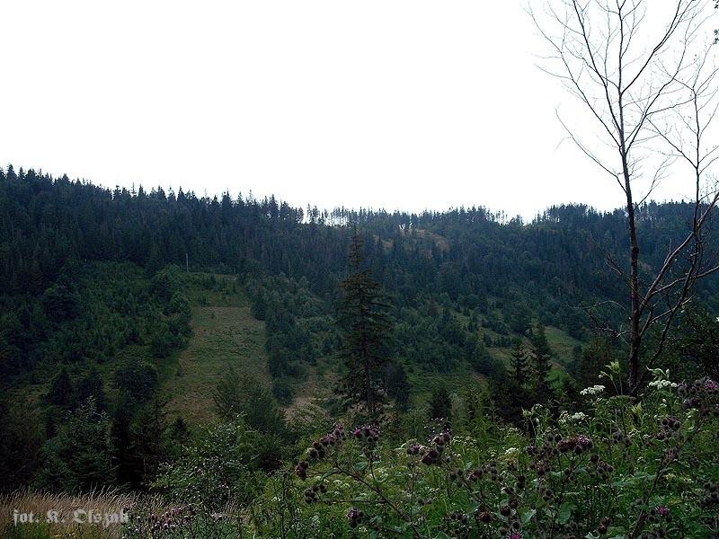 W drodze na przełęcz Salmopolska (3)