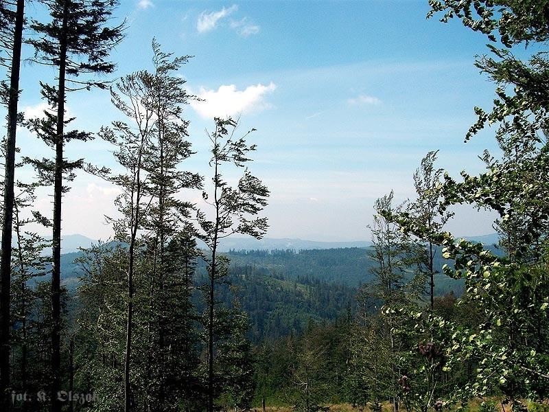 W drodze na przełęcz Salmopolska (5)