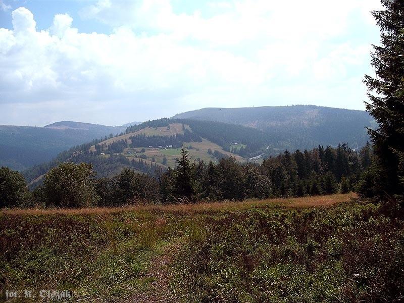 Jagodowe pole na Kotlarzu (2)