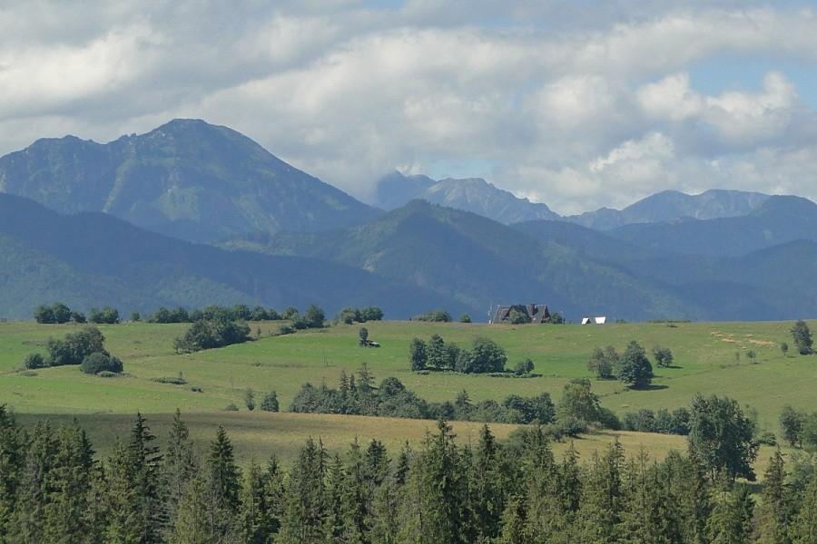 Widoczek