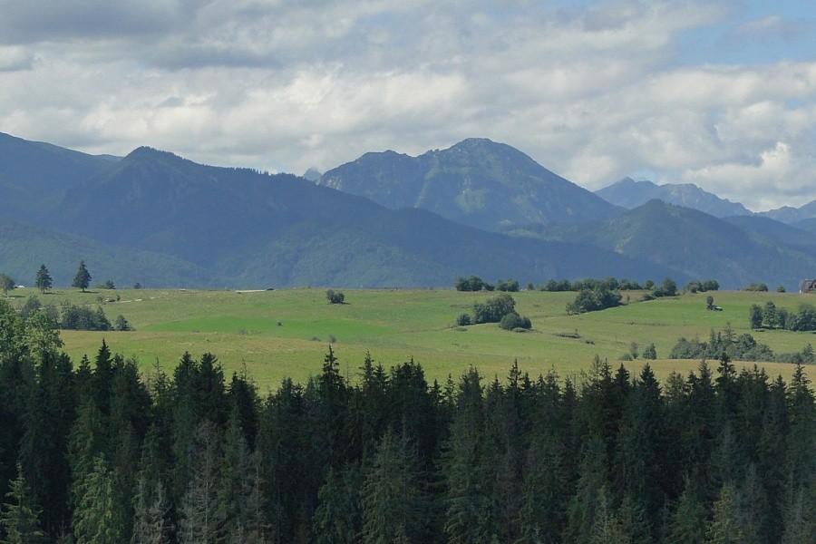 Widoczek