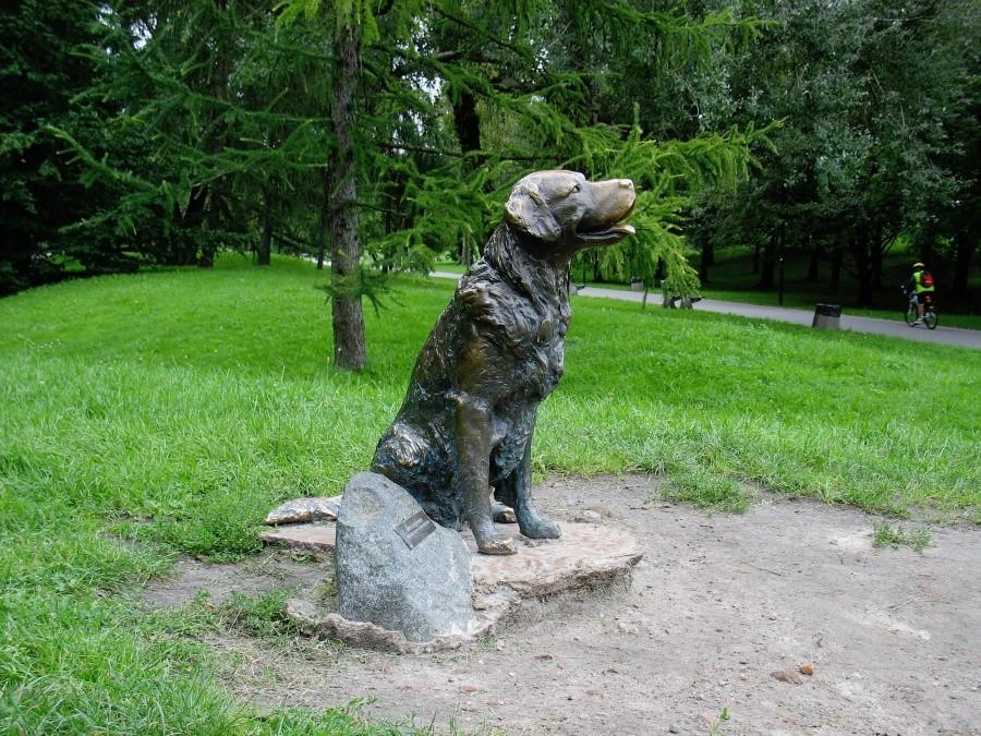 Pomnik Szczęśliwego Psa
