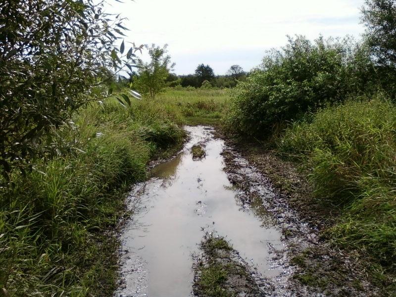 Teren podmokły