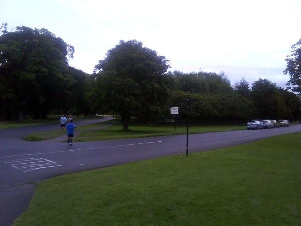 Phoenix Park - pełen biegaczy i rowerzystów