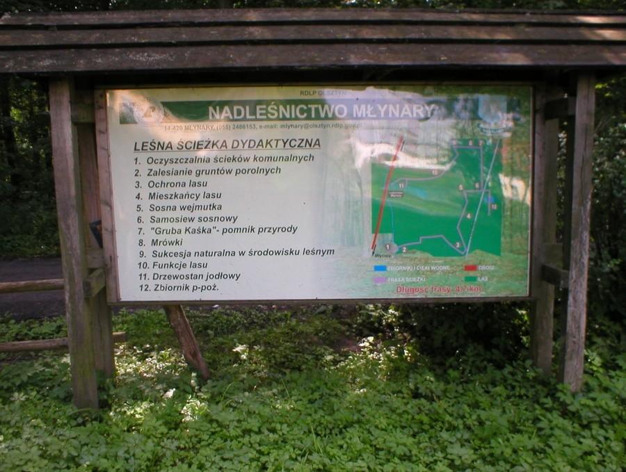 ŚCIEŻKA DYDAKTYCZNA