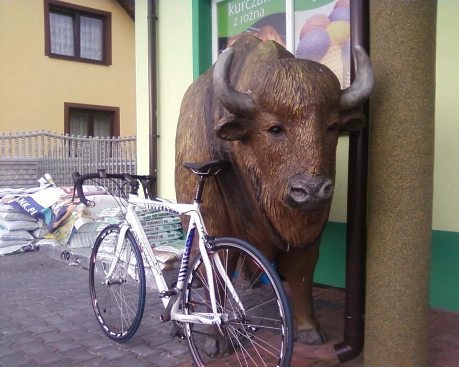 Postój w drodze powrotnej