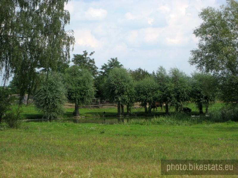 Wiejska sielanka.