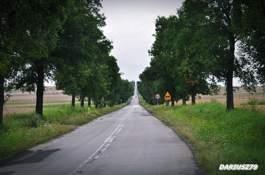 Niegosławice droga 768 w strone jedrzejowa