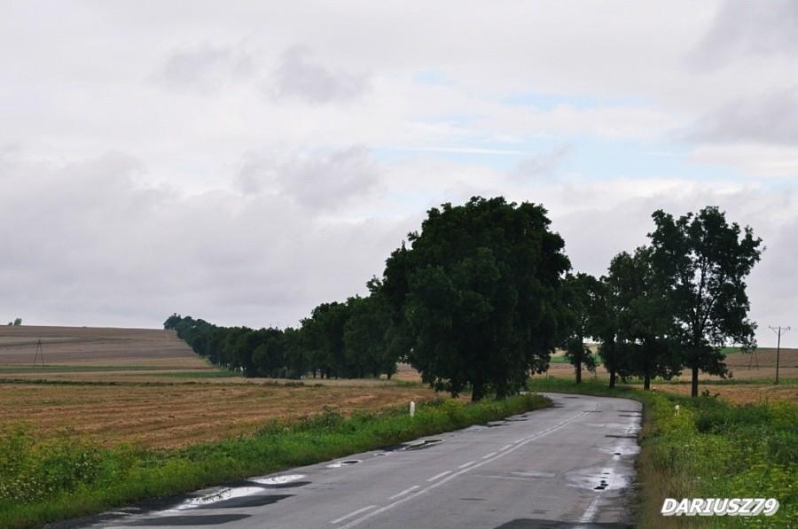 Niegosławice droga 768 w strone jedrzejowa