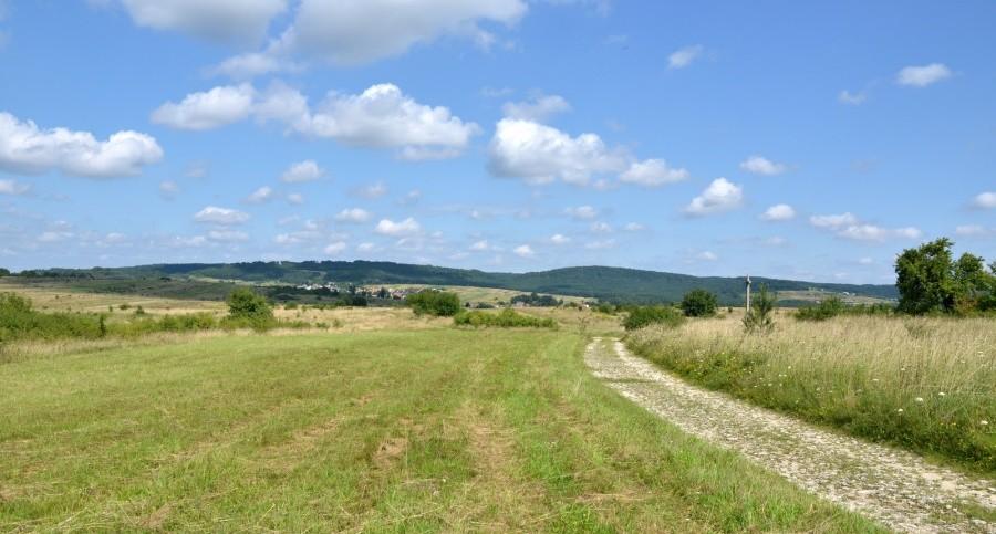 zapowiedź problemów