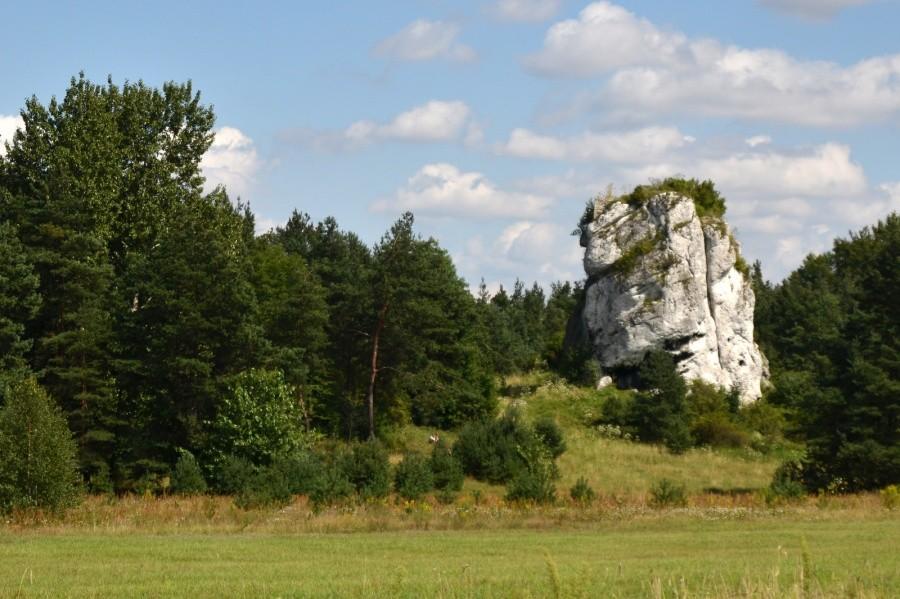 Średniowieczna strażnica królewska Ryczów