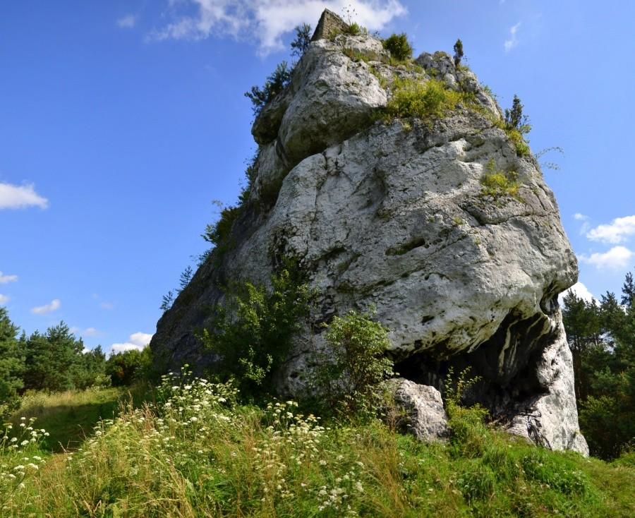 Średniowieczna strażnica królewska Ryczów z bliska